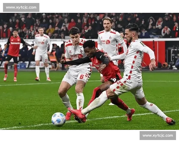 罗宾对决马拉特巅峰碰撞揭示战术智慧与意志较量全场焦点之战博弈